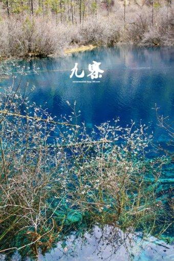 探索吉鹿力,解答问题,尽在如何应对家庭中的火灾逃生?问答社区